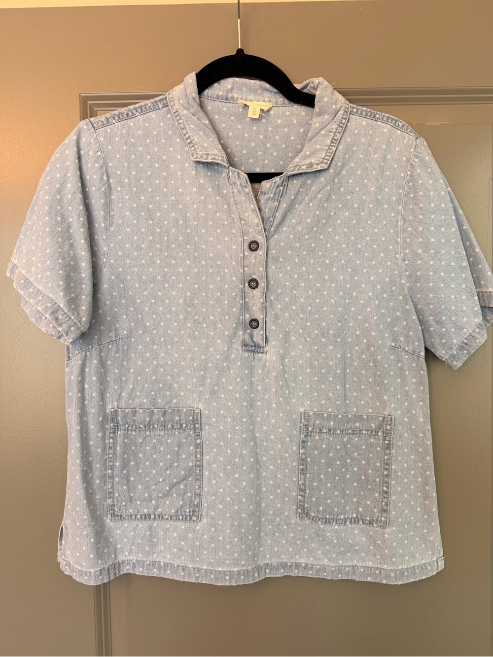 The Wynter Polka Dot Popover Chambray Shirt
